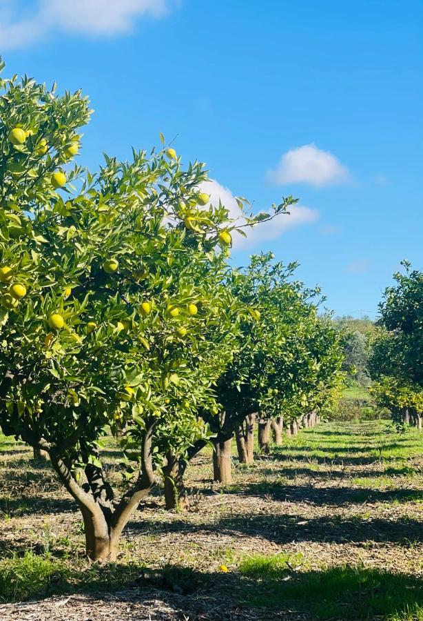 Quinta Da Boa Sorte Estoi Exteriér fotografie